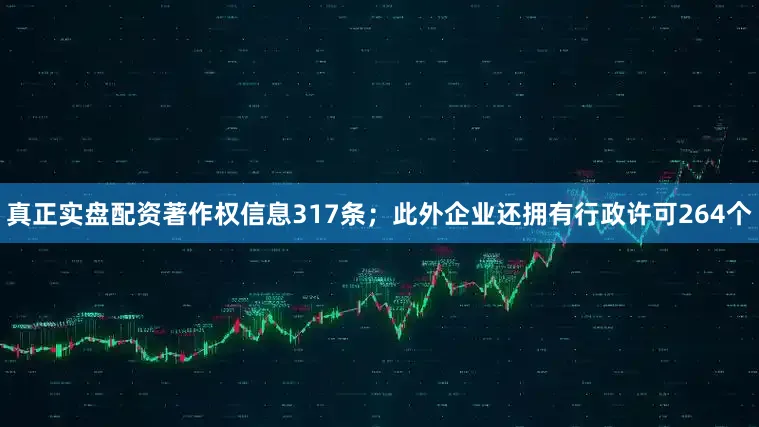真正实盘配资著作权信息317条；此外企业还拥有行政许可264个